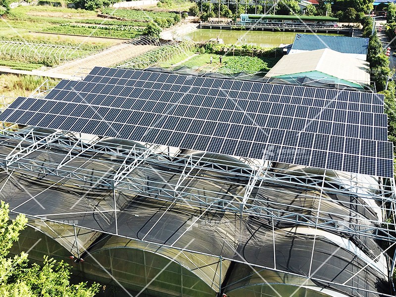 湖北J9集团国际绿色能源有限公司